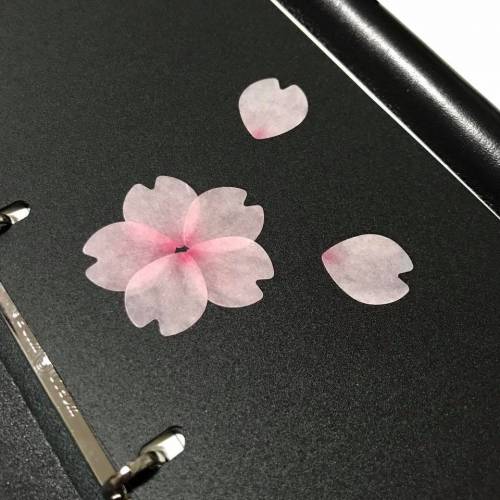 벚꽃 테이프.jpg