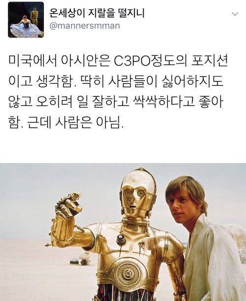 미국에서 아시아인 포지션