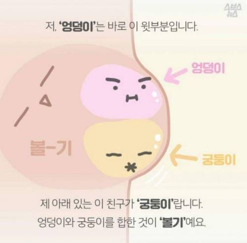 엉덩이의 비밀.jpg