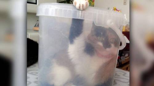 집이 필요하당~.jpg