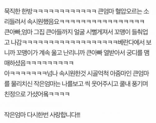 큰엄마 잡는 쿨내나는 작은 엄마..jpg