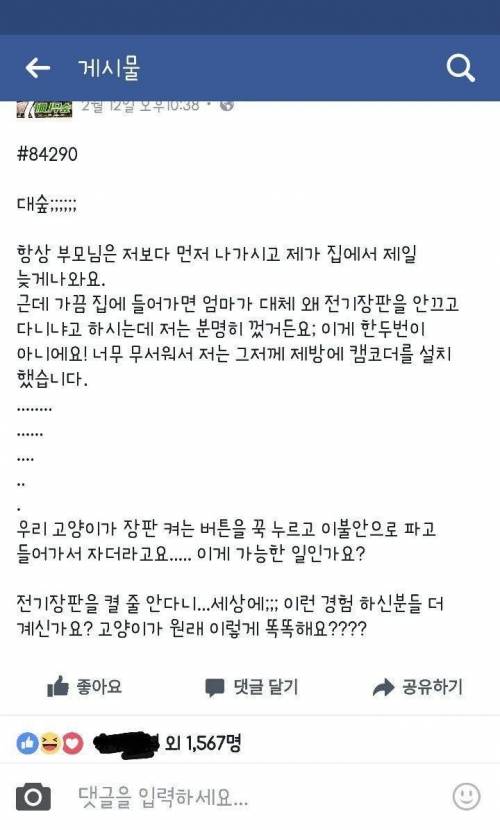 전기장판을 끄고나갔는데 항상 켜져있는 이유