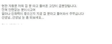 문 잘따는 고양이 후기.jpg