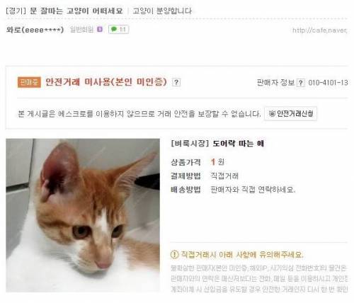 문 잘따는 고양이 후기.jpg