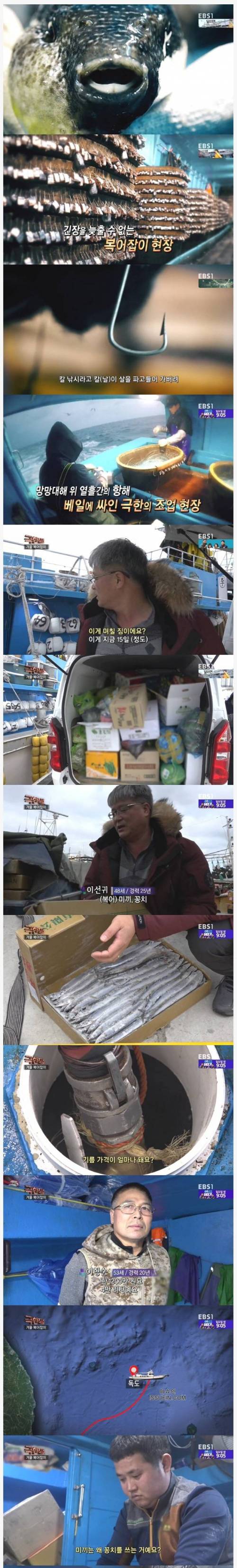 극한직업 겨울 복어잡이.jpg