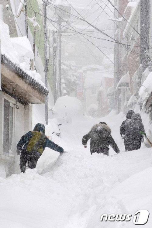 어제자 울릉도 상황.jpg