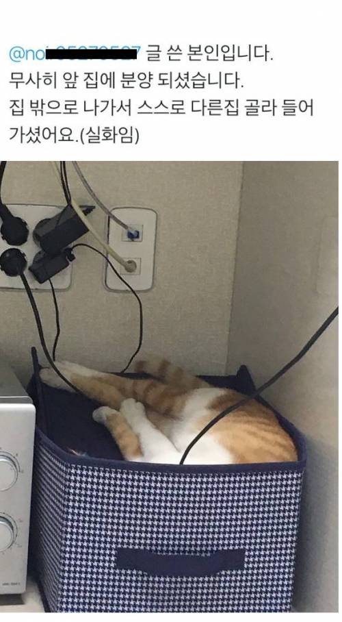 문 잘따는 고양이 후기.jpg