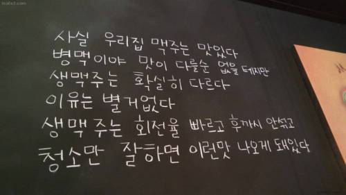 너무 쿨해서 얼어죽을거 같은 술집.jpg