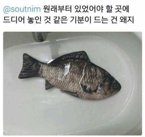 필통이 더러워져서 빨았는데.jpg