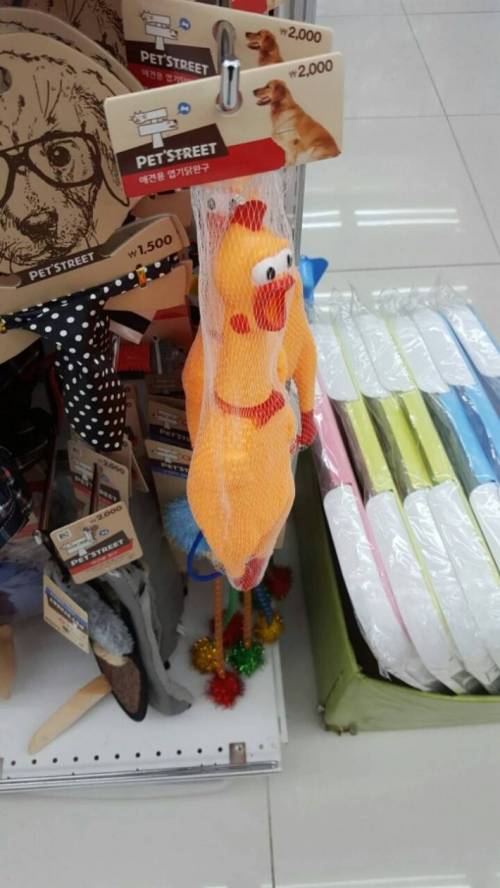 다이소 알바하면서 가장 많이 듣는 말