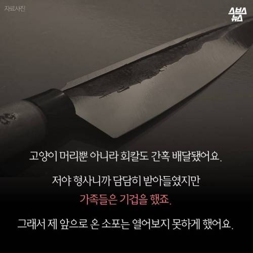 조폭과 싸운 마누라.jpg