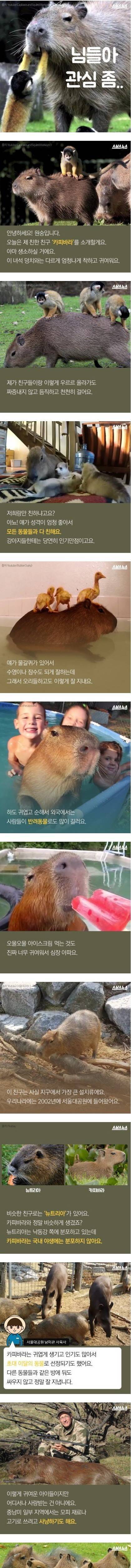 님들아 관심 좀..jpg