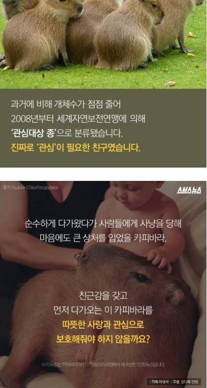님들아 관심 좀..jpg