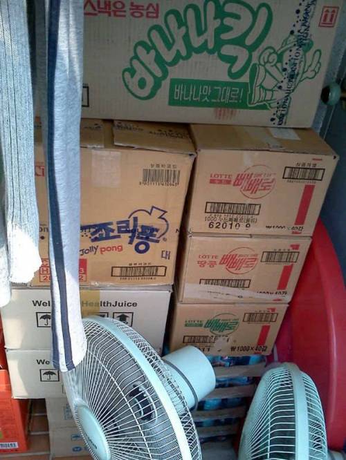 어느 자취생의 비축 식량.jpg