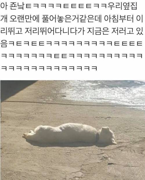 하얗게 불태웠개.jpg