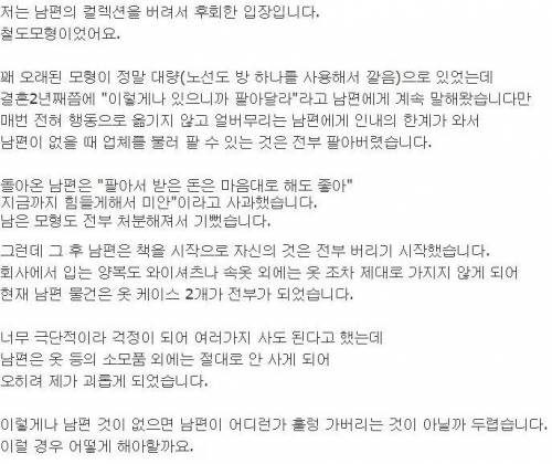 아내가 남편의 취미 컬렉션을 버렸다.txt