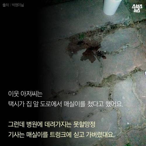 저에겐 가족이었습니다..jpg