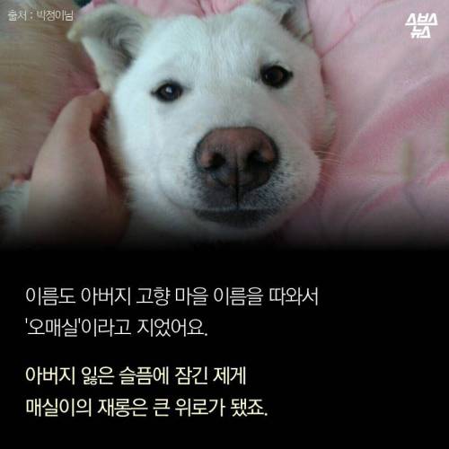 저에겐 가족이었습니다..jpg