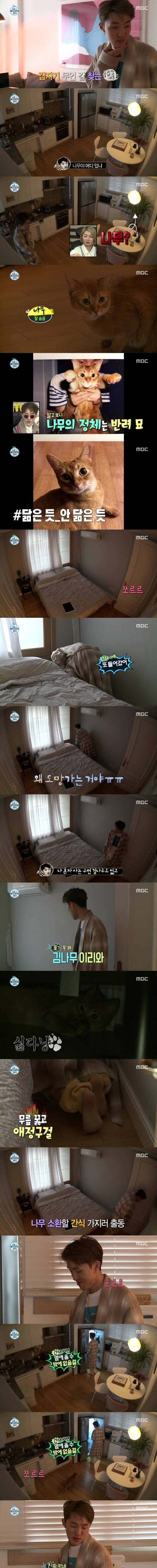 배고플때만 필요한 집사.jpg