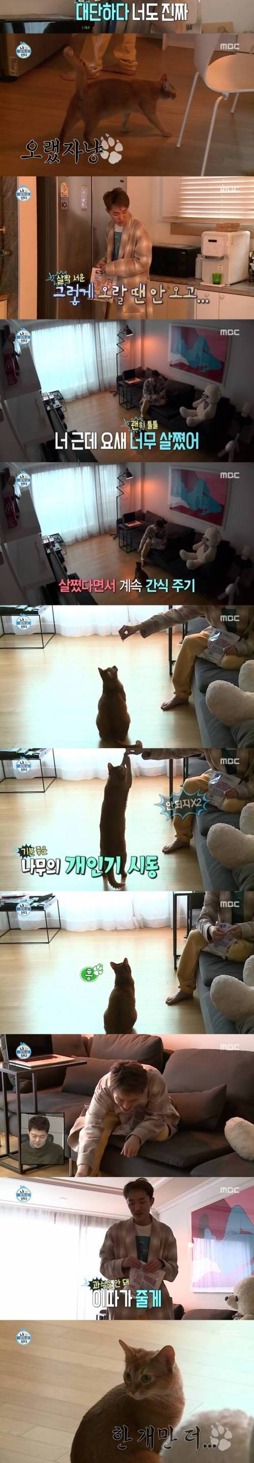 배고플때만 필요한 집사.jpg