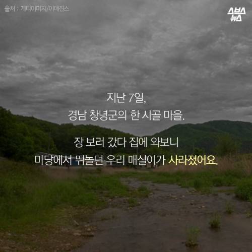 저에겐 가족이었습니다..jpg