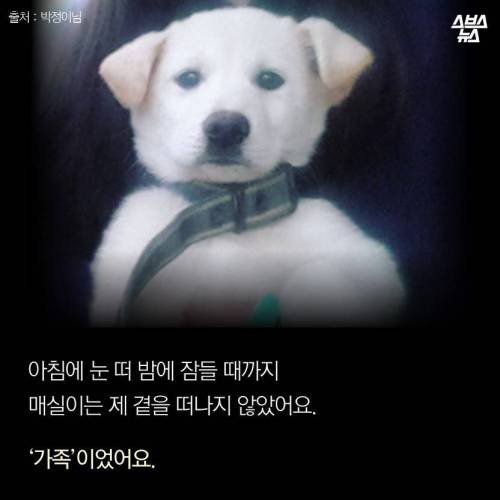 저에겐 가족이었습니다..jpg