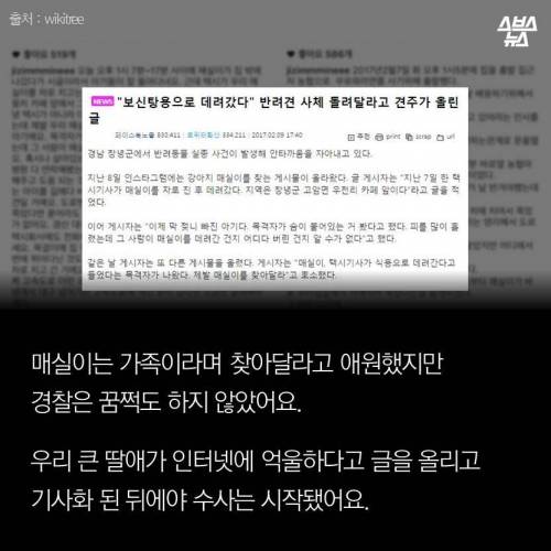 저에겐 가족이었습니다..jpg