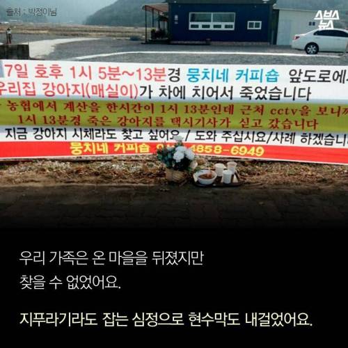 저에겐 가족이었습니다..jpg