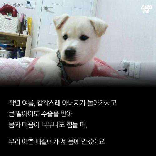 저에겐 가족이었습니다..jpg