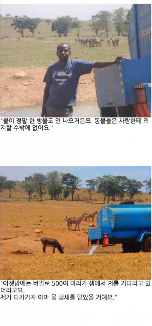 레인맨 이야기.jpg