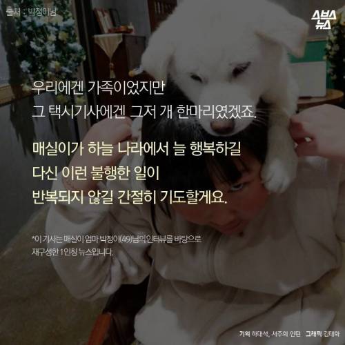 저에겐 가족이었습니다..jpg