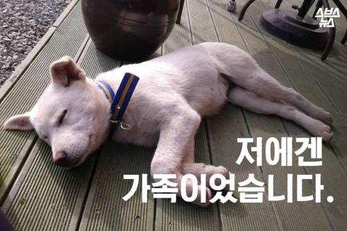 저에겐 가족이었습니다..jpg