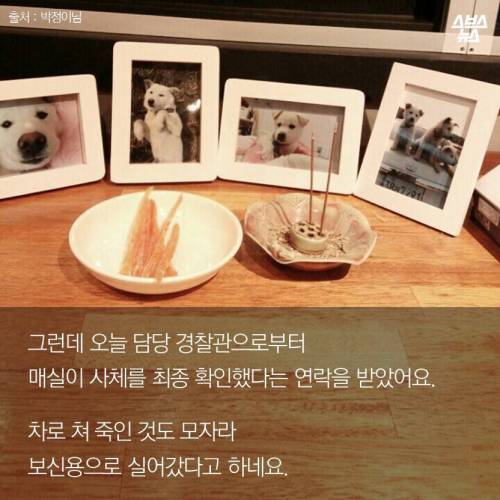 저에겐 가족이었습니다..jpg