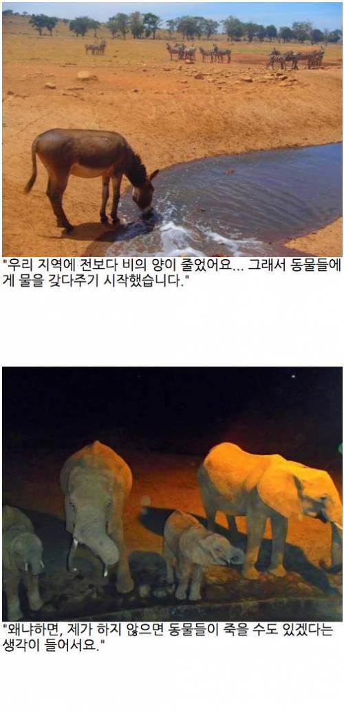 레인맨 이야기.jpg