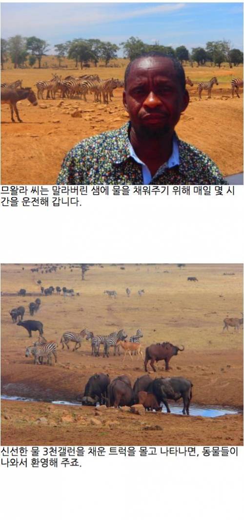 레인맨 이야기.jpg