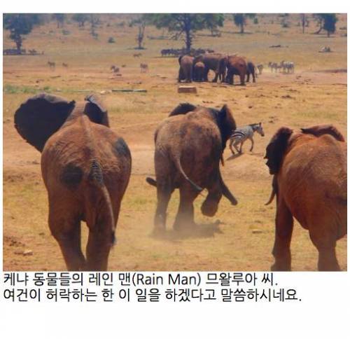 레인맨 이야기.jpg