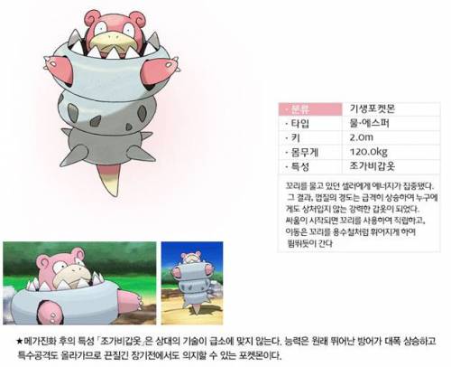 포켓몬 중 가장 어이없는 진화