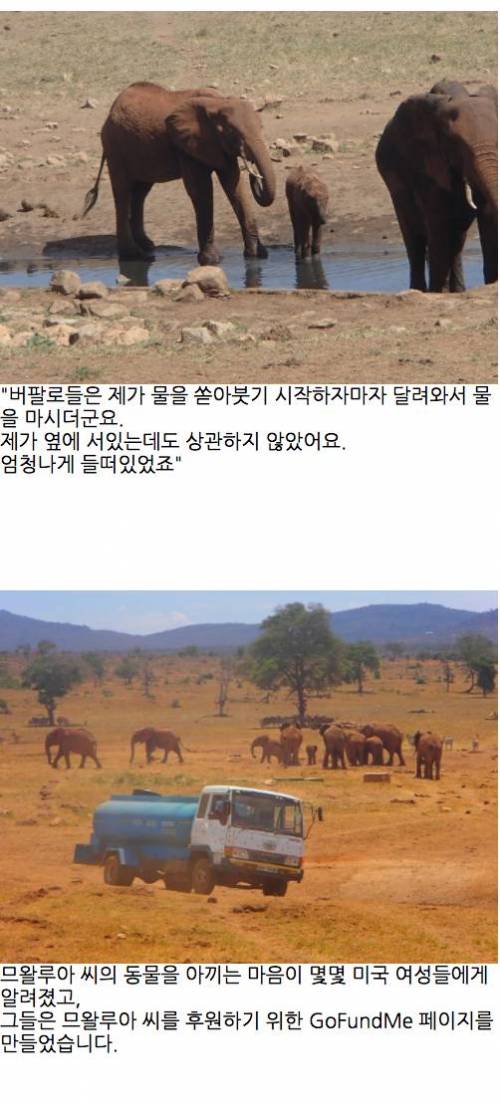 레인맨 이야기.jpg