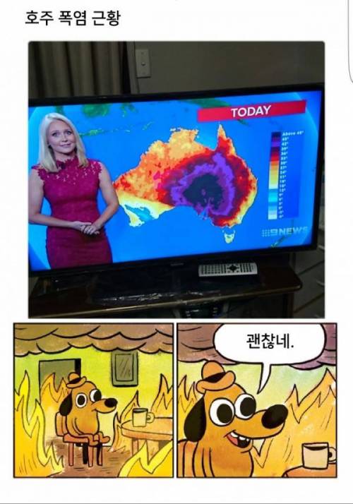 살살 녹는 호주 근황