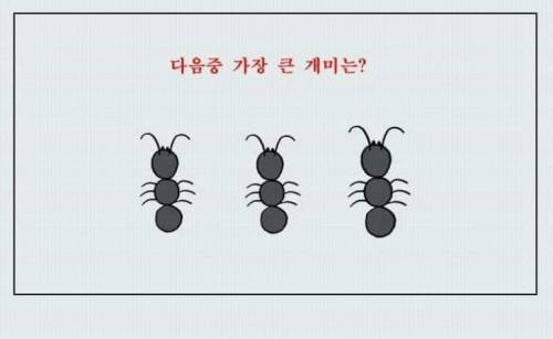 착시 테스트.jpg
