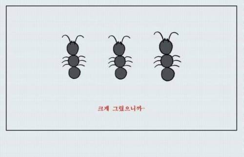 착시 테스트.jpg