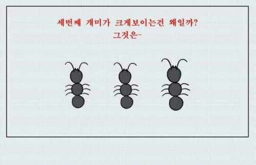 착시 테스트.jpg