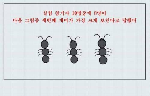 착시 테스트.jpg