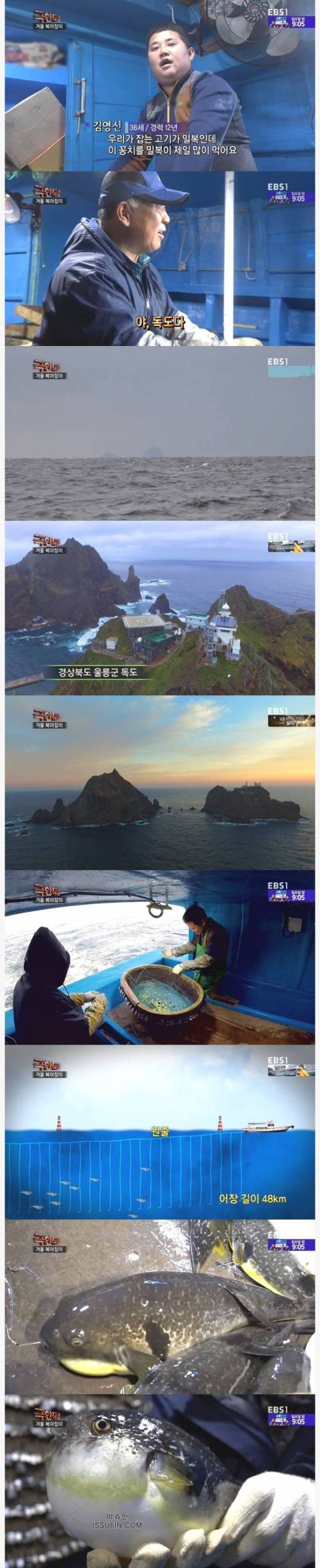 극한직업 겨울 복어잡이.jpg