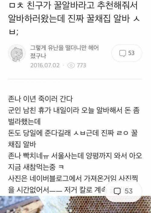 레알 꿀알바.jpg