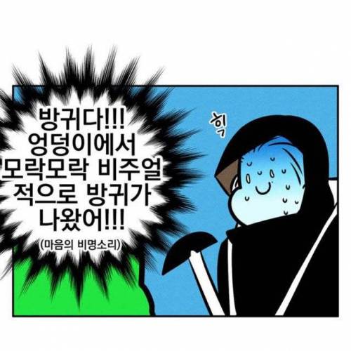 방구쟁이들이 캐나다 가면 조심해야되는 이유