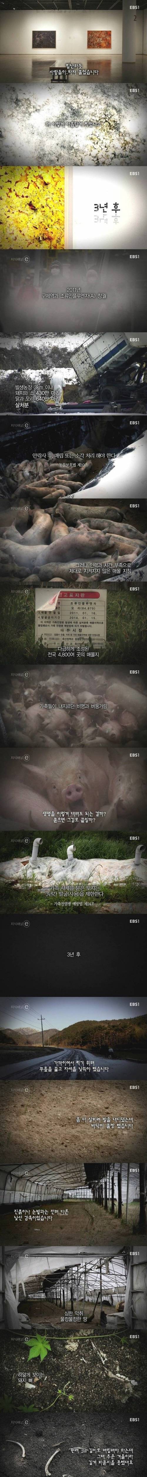 3년후.e