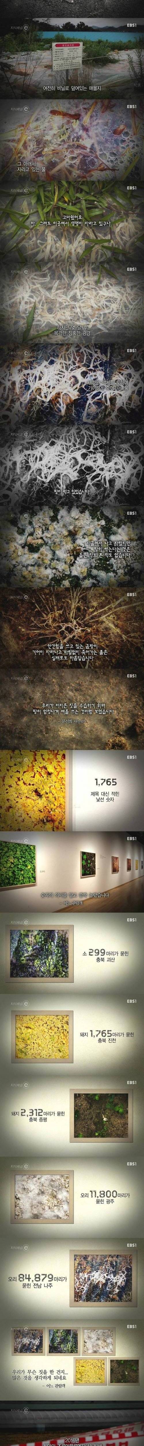 3년후.e