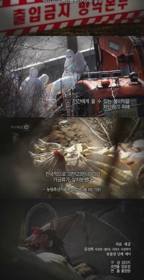 3년후.e