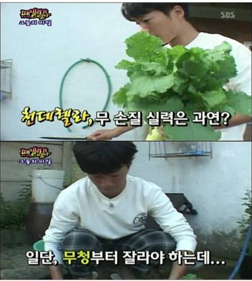 엉성천희.jpg,gif
